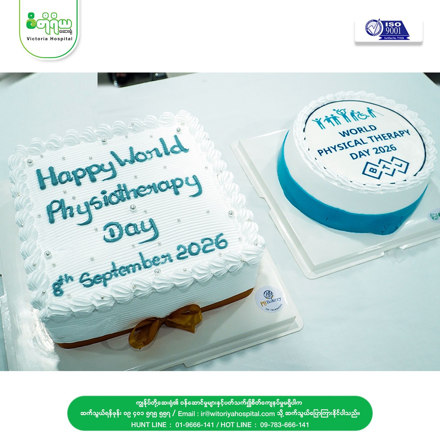 ✨Celebrating World Physiotherapy Day🎉