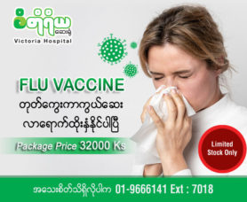 Get your family Flu vaccinated