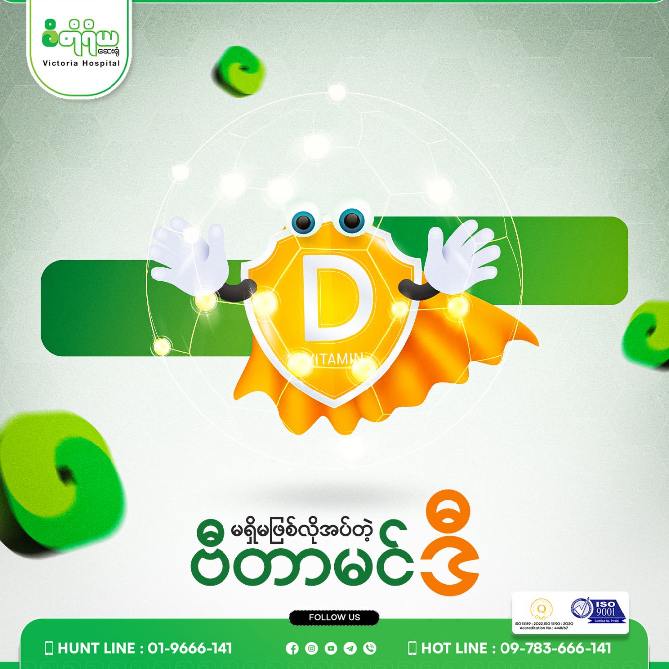 The Essential Vitamin D